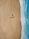 Beach Buddy